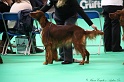 Crufts2011 320